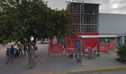 Foto de Margarita Saieh de Jassir